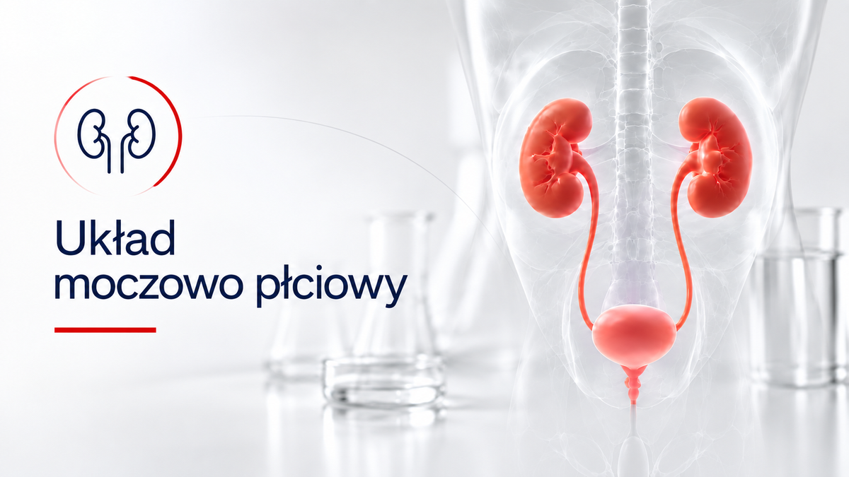 Układ moczowo płciowy