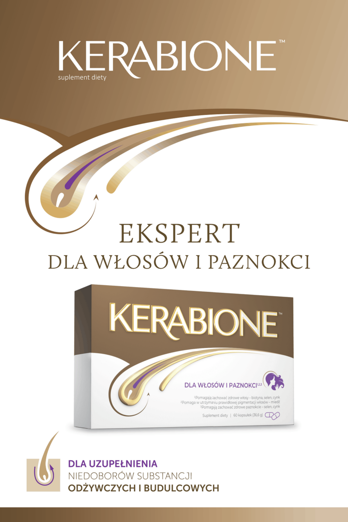50x Ulotka składana Kerabione KER01