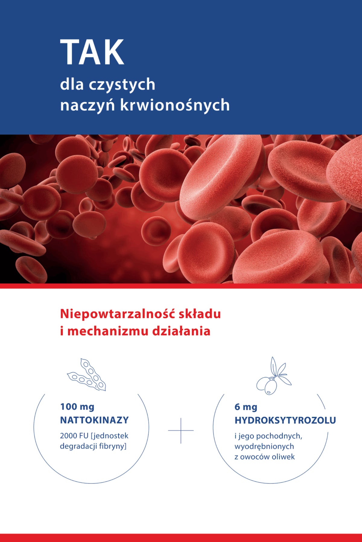 50x Ulotka składana A5 Nattaspin NAT02