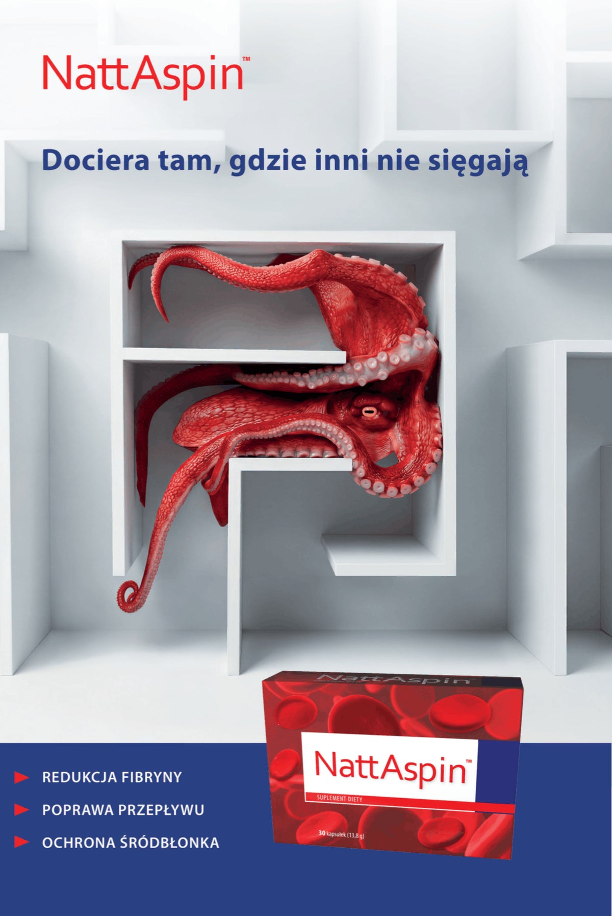100x Ulotka duża Nattaspin NAT05